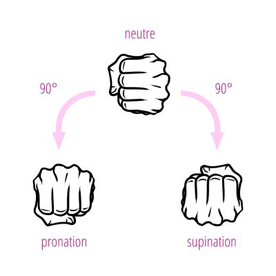 schema explication differentes prises de barres pronation neutre supination