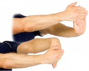 etirements muscles avant-bras