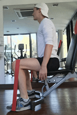 exercice extensions mollets assis avec elastiques resistance