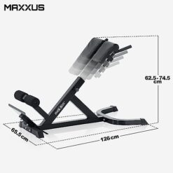 Banc à Lombaires MAXXUS