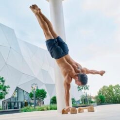 Parallettes Longues pour Fitness Calisthenics Street Workout Eric Flag