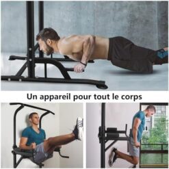 Chaise Romaine Power Tower Dip Station avec barre de traction et barres de dips DH FitLife