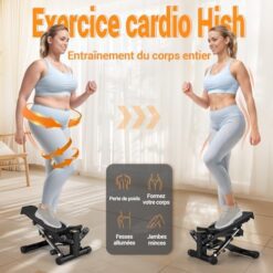 Stepper Fitness Appartement 2 en 1 avec Cordes Elastiques VANNECT