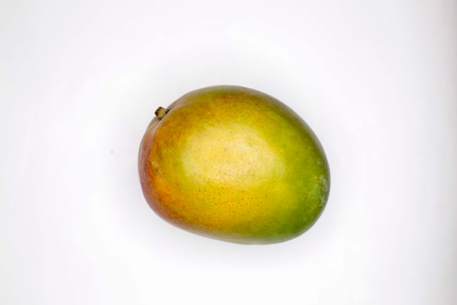 Mangue