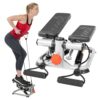 Sunny Health & Fitness Mini Steppers pour l'exercice à la Maison, Machine d'escalier d'entraînement Total du Corps avec Bandes de résistance - SF-S0978