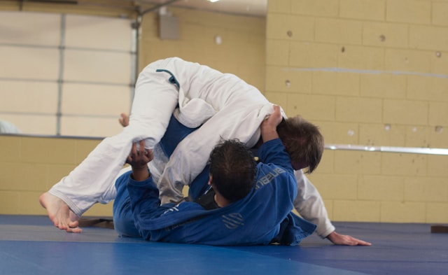 Judo 2