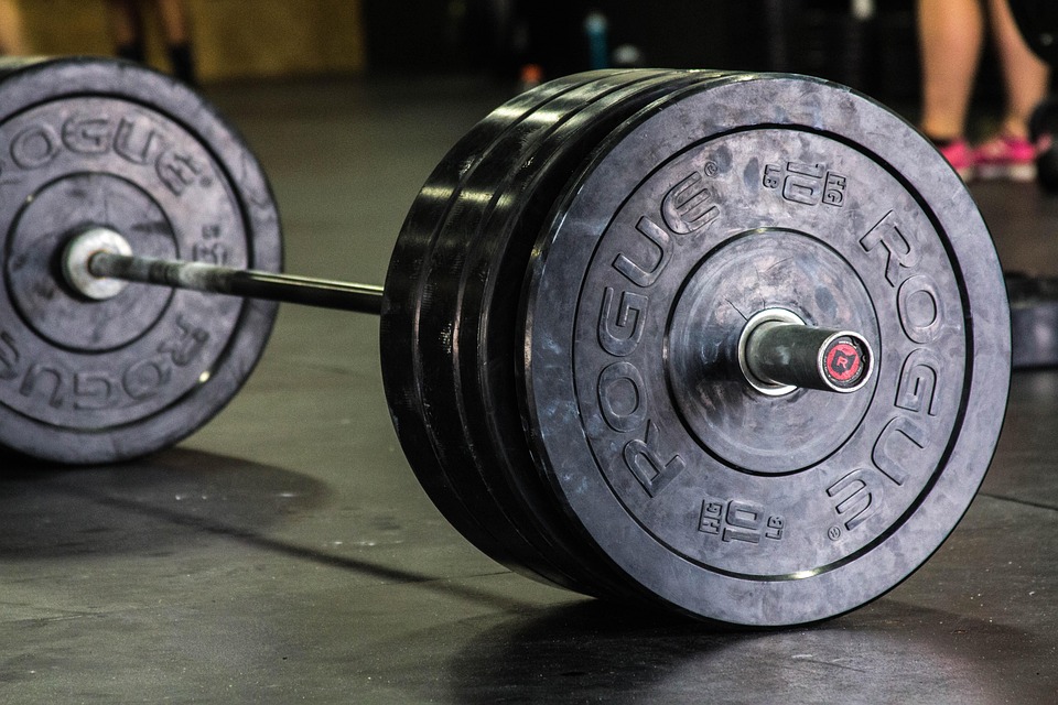 Notre avis sur Rogue Fitness