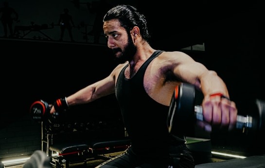 elevations laterales