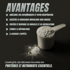Healthy Fusion Whey Protein | 43 g/dose Protéine Whey Pure avec Collagène, Magnésium et Vitamine B6 | Augmente la masse musculaire, améliore l’entraînement, renforce les articulations | Chocolat 1kg